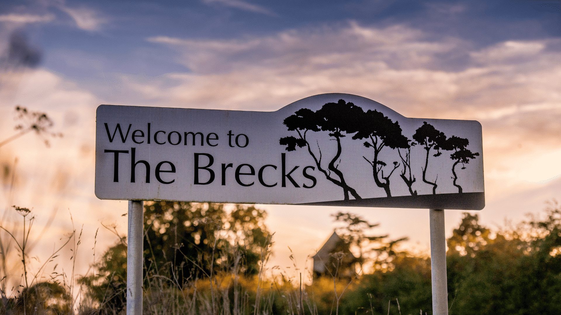 Breckse Visit Norfolk | Natural wonder of Norfolk: The Brecks