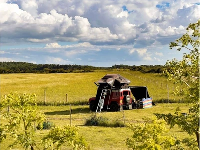 Go Wild Camping, Thetford Forest